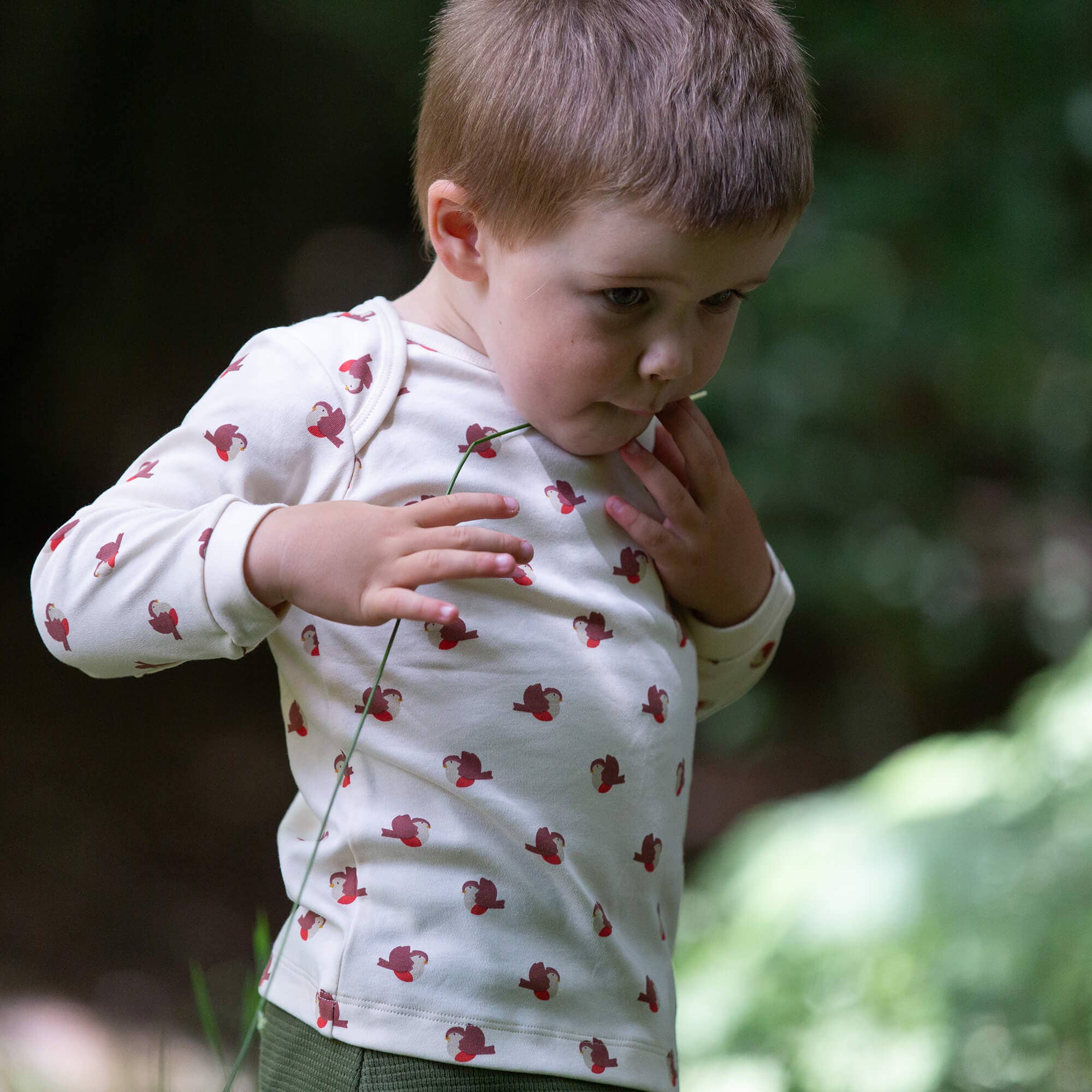 Little Robin Organic T-Shirt And Jogger Playset